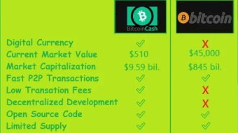Half way through 2021 - My Bitcoin Cash ($BCH) earnings breakdown