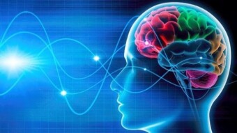 11 Habits that damage the brain