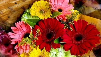 Artificial flower photography