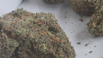 smoke.io - 10/07/19 - price