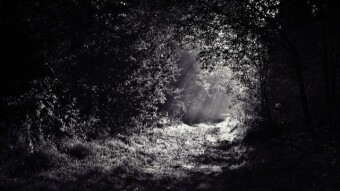 "I ain't quite sure what I seen." (5 minute freewrite)