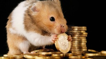 Double BTC Week… Surprise Benefit!