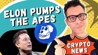 Elon Goes APE - Causes A Pump | BTC Holders Capitulate | DeFi Sharp Loss Of TVL | Crypto News