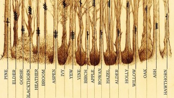 The Celtic Druid Alphabet Ogham
