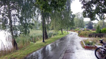 Dynamic Sunday, walk, bike, sun, rain - My Actifit Report Card: September 3 2023
