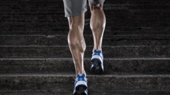 Building a bigger and stronger set of Calves