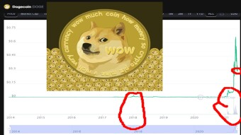 Doge: Where We Are, And Do Technicals Matter At All To Fanatical Fans?