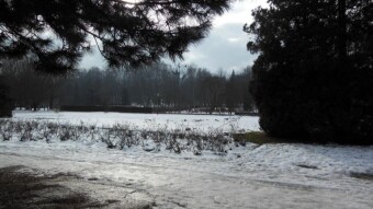 Wet, slippery and dangerous - a walk in difficult conditions - My Actifit Report Card: January 23 2024