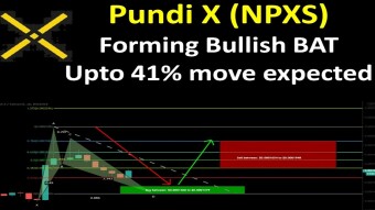 Pundi X (NPXS) Is Forming Bullish BAT | Upto 41% move expected