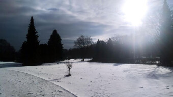 Today the winter has softened and there was plenty of sun