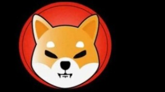 Shiba Inu: the new meme coin listed on the main exchanges and it is "instantly boom!”
