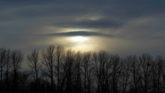Romantic sunset, a breath of spring - short-lived - My Actifit Report Card: January 9, 2025
