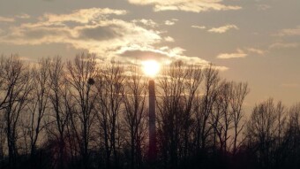 A little sun, a little frost, but Friday is always fun - My Actifit Report Card: January 23, 2026