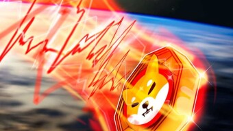 Shiba on fire