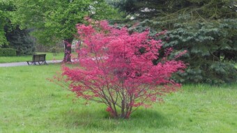 For the month of May, it's terribly cold - My Actifit Report Card: May 7 2023