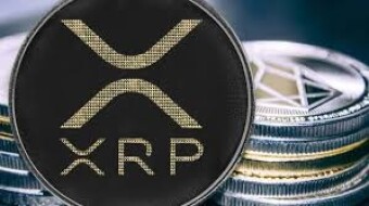 The price of XRP is surprising everyone!