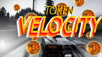 A Study on Token Velocity