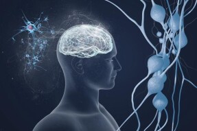 (IJCH) The Human Eye and Vision - Dusting Off Old Brain Cells (or How I Still Love Teaching!)