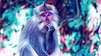 Are there any crypto project(s) you no longer believe in?