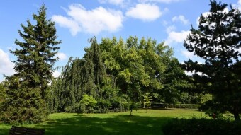 Beautiful Tuesday, summer is back - My Actifit Report Card: September 9, 2025