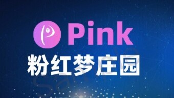 Pink mechanics introduction