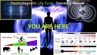 Electromagnetic Life Force Guide - Know Your Reality