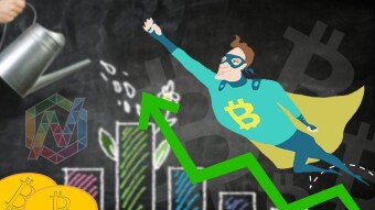 The Bull Continues to Run:  Bitcoin (BTC) Hits New All Time High of $32428; Alt Markets Continue Their Soar.