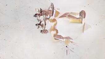 Three Powers of Maya