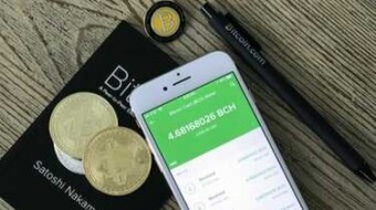 Slovenia Has More Physical Stores Accepting Bitcoin Cash (BCH) in the World.