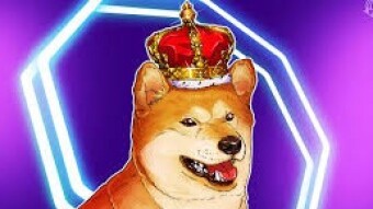 Shiba King of 2021