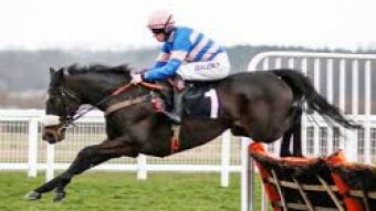 Malaya (3.00 Ascot, 20 Feb)
