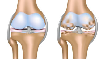 StartEngine Raises That Intrigue Us - April 2025 (Added)