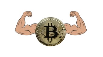 The Bitcoin Network Is Highly Productive