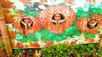 A Tour to Remember: 4th Destination"The Strawberry Eco Farm"