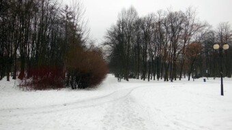 There is almost no trace of yesterday's winter left - My Actifit Report Card: January 18 2024