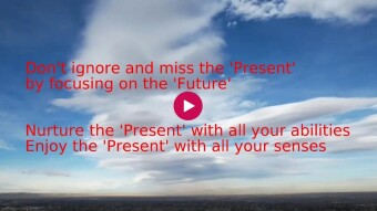 Don't ignore and miss the 'Present' by focusing on the 'Future'