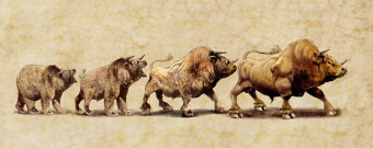 This Bull Run is Fundamentally Different Than the Previous One. Here’s Why