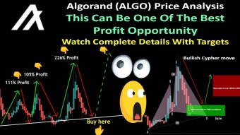 Algorand (ALGO) Price Analysis | This Can Be One Of The Best Profit Opportunity