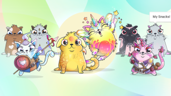 Cryptokitties : Create a new Collection to Win Exclusive & Special Edition Kitties!
