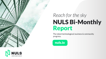 NULS Community Briefing
