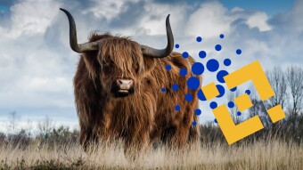 ADA Experiences A Bullish Day As It Overtakes BNB For 4th Place