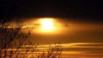 End of March, almost book weather - My Actifit Report Card: March 30 2023