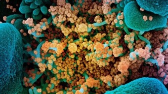 What do we know & don’t know about COVID-19 so far?