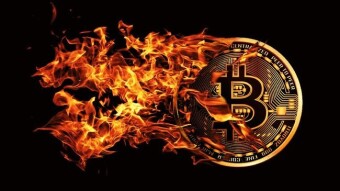 Will Crypto Portfolios survive this Winter or they are going to Dust?