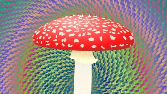 New NFT Series - Living Nature