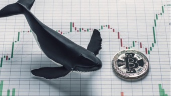 $5B Bitcoin Whale Has Promised to Sink Bitcoin
