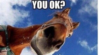 Dating Chronicles #22 – To get back up on the horse