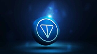 Pavel Durov Arrested: TON Collapses