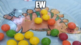 Candy... It's Animal Feed (but I wouldn't feed it to mine)