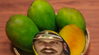 Hello Mango Labs, this is Clem Fandango. Can you hear me?